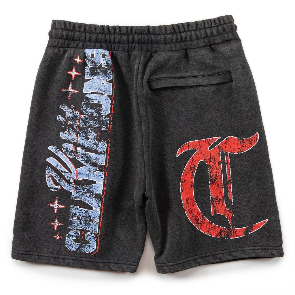 Champions Only Fleece Shorts - Image 2