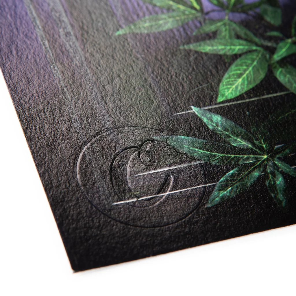 CKS x Photo Doc - Contraband Poster- SIGNED - Image 3