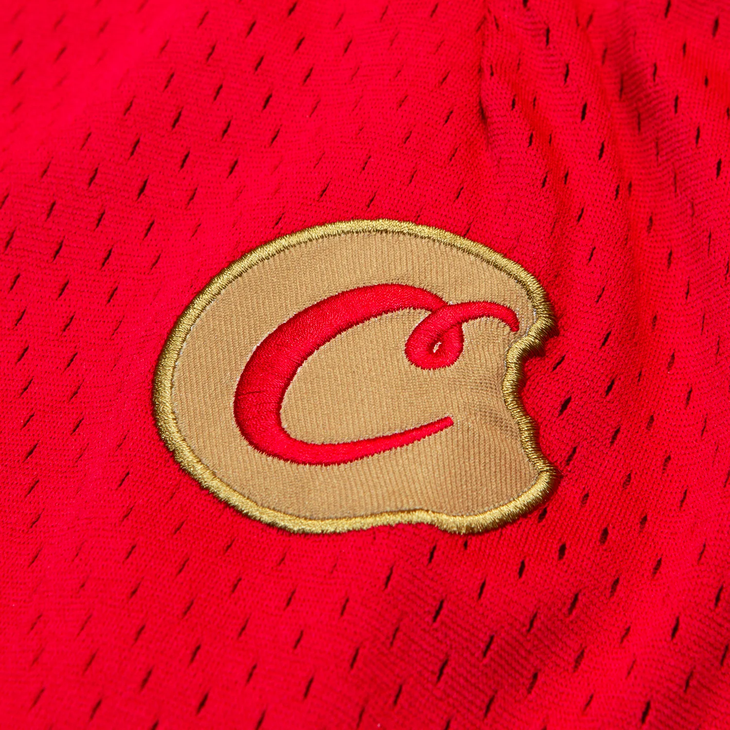Legacy Mesh Shorts - Image 4
